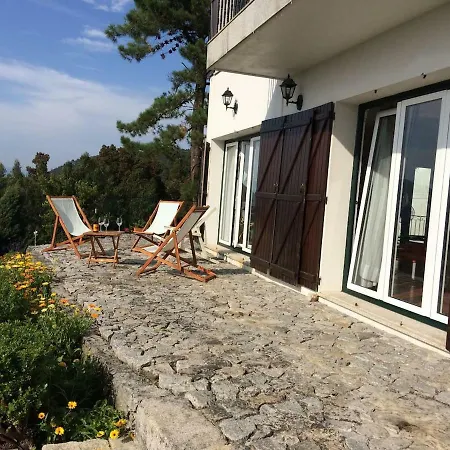 Spectacular Sea View Moledo - Close Beach * Cristelo